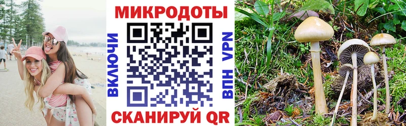 как найти закладки  Барыш  Галлюциногенные грибы Cubensis 